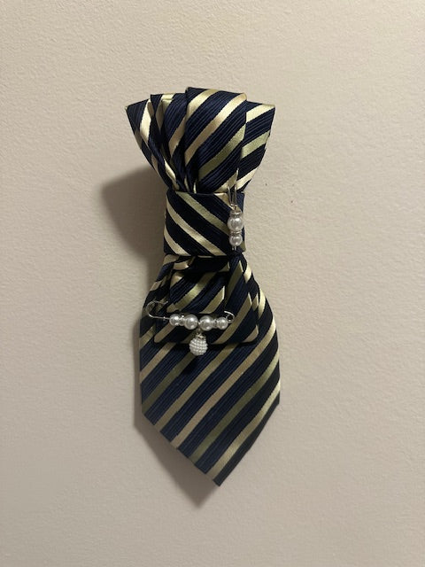Women's Tie | Business Attire